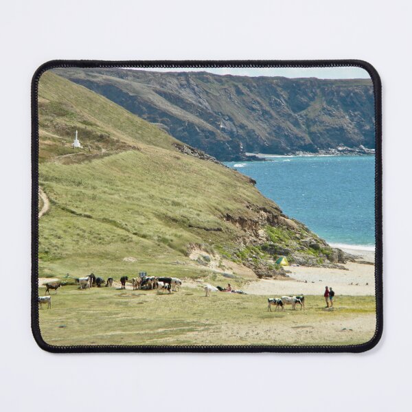 Item preview, Cows on beach near Porthleven designed and sold by Anne Sanders.