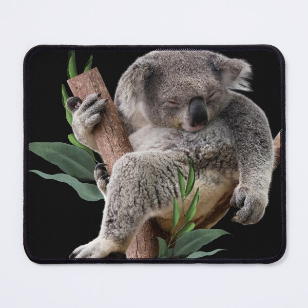 Item preview, Cute sleepy koala on a tree designed and sold by All My Planet.