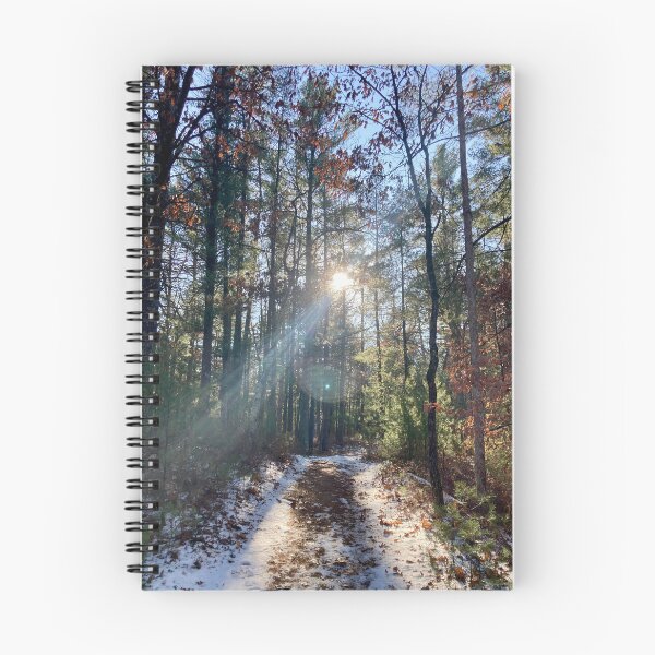 Item preview, Winter Forest Path designed and sold by Bridget Swanson.