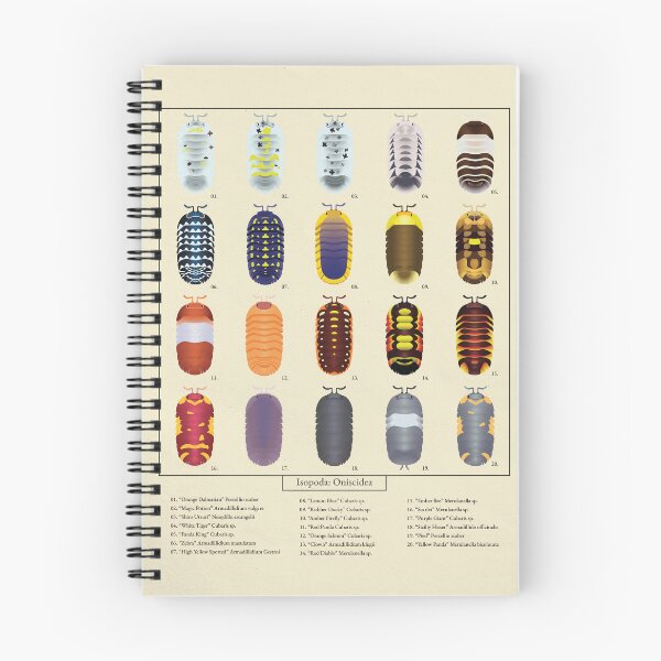 Item preview, Isopod Color Chart designed and sold by SamDaytonArt.