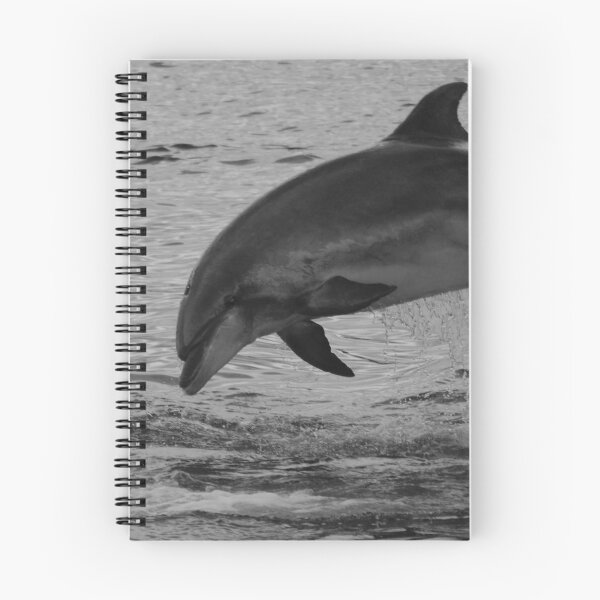 Item preview, Bottlenose dolphin black and white - Tursiops truncatus designed and sold by Chloé Yzoard.