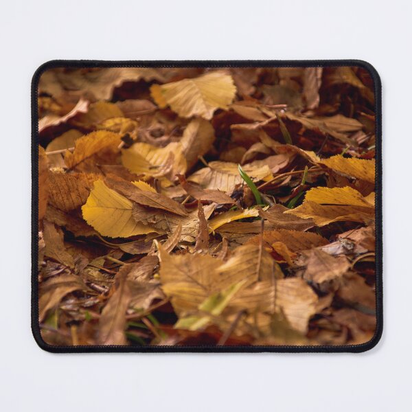 Item preview, Autumn leaves designed and sold by Tilosparty30.