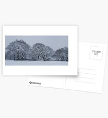 Winter wonderland Postcards