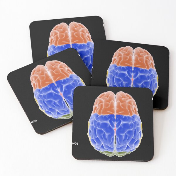 Item preview, STK701409H-Diagram of left side of brain vs. right side of brain. designed and sold by StocktrekImages.