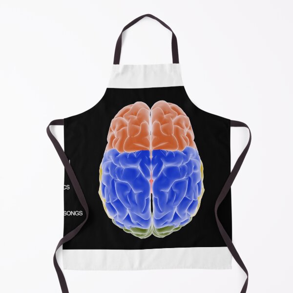 Item preview, STK701409H-Diagram of left side of brain vs. right side of brain. designed and sold by StocktrekImages.