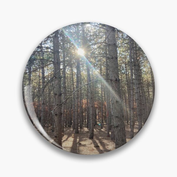 Item preview, Forest Hike  designed and sold by Bridget Swanson.