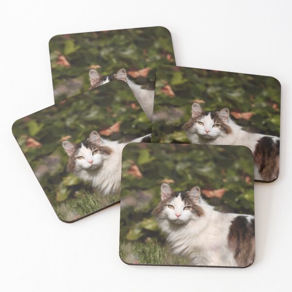 Item preview, Norwegian Forest Cat designed and sold by Studio5max.