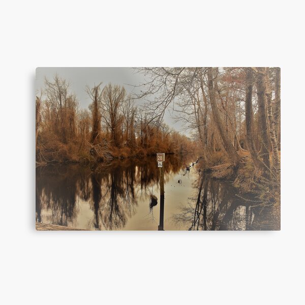 Item preview, The Dismal Swamp Canal designed and sold by Carolyn Ricks.