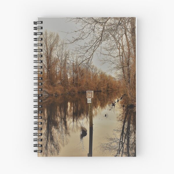 Item preview, The Dismal Swamp Canal designed and sold by Carolyn Ricks.
