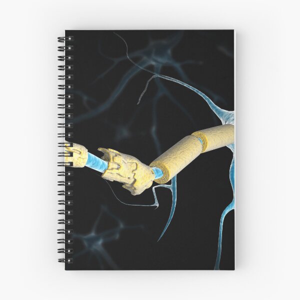 Item preview, STK701417H-A multiple sclerosis neuron. designed and sold by StocktrekImages.