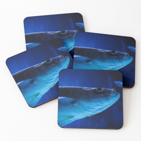 Item preview, Big fish in a big tank designed and sold by Belles-Photos.