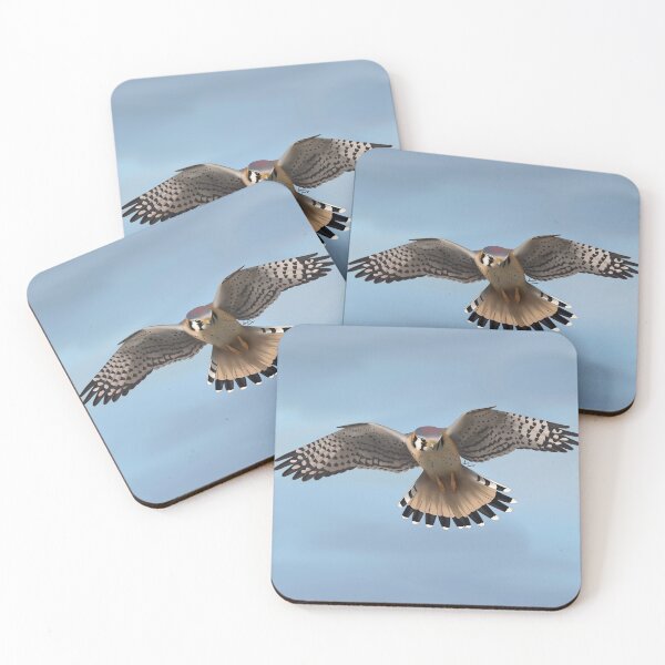 Item preview, American Kestrel Hovering designed and sold by AmberLeung.