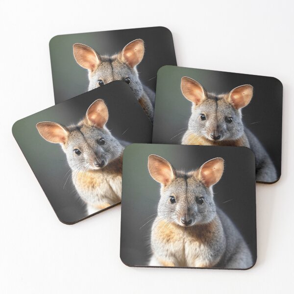 Item preview, Pademelon (badimaliyan) Hopping Marsupial designed and sold by Brendon987.