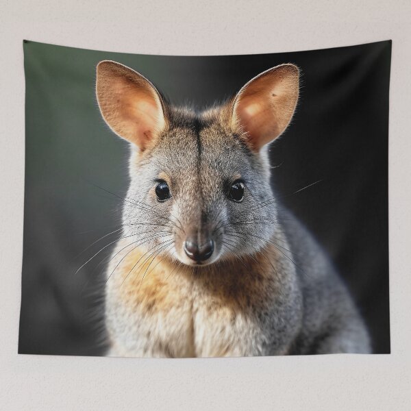 Item preview, Pademelon (badimaliyan) Hopping Marsupial designed and sold by Brendon987.