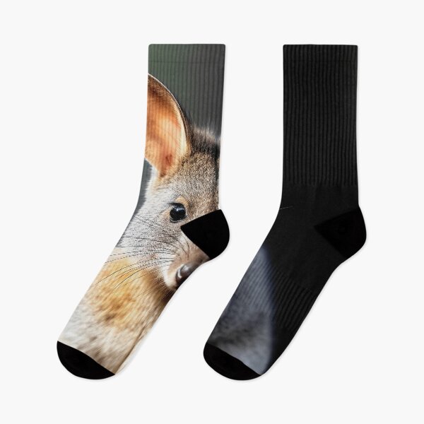Item preview, Pademelon (badimaliyan) Hopping Marsupial designed and sold by Brendon987.
