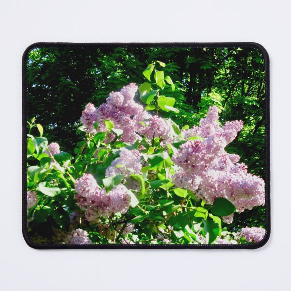 Item preview, Sunlit lilacs designed and sold by Shulie1.