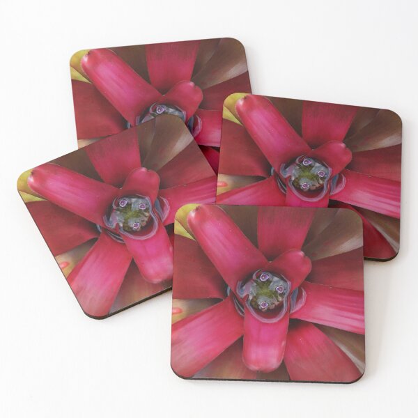 Item preview, Bromeliad in Bloom designed and sold by borealnymph.