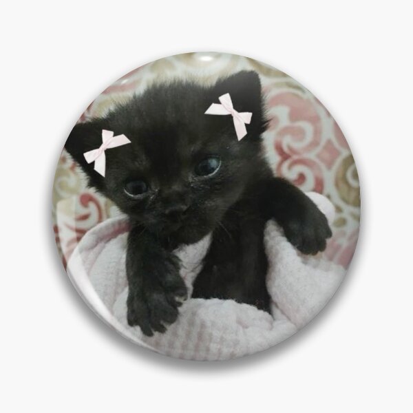 Item preview, Corquette cat designed and sold by bubbauwu.