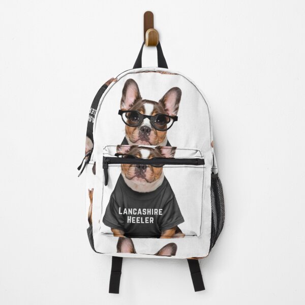 Item preview, Lancashire Heeler. Cool glasses designed and sold by NFL-LIVE .