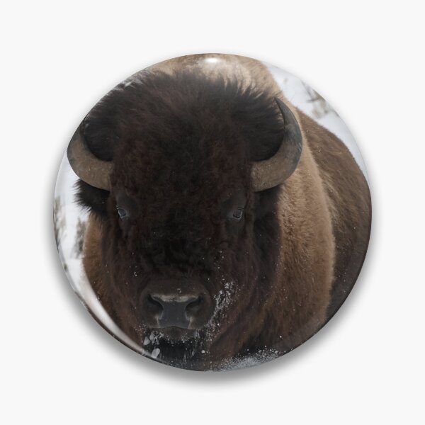 Item preview, Bison Snow Run designed and sold by DWMMPhotography.