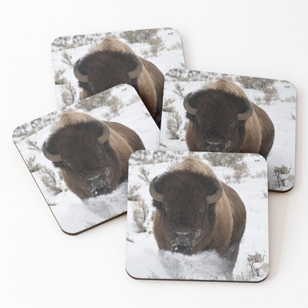 Item preview, Bison Snow Run designed and sold by DWMMPhotography.
