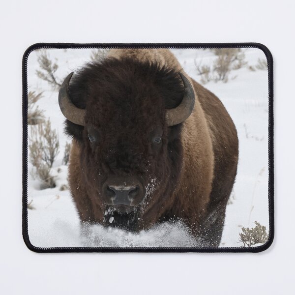 Item preview, Bison Snow Run designed and sold by DWMMPhotography.