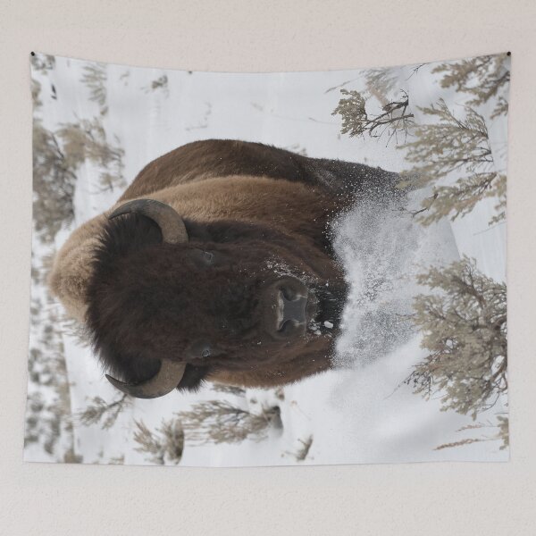 Item preview, Bison Snow Run designed and sold by DWMMPhotography.