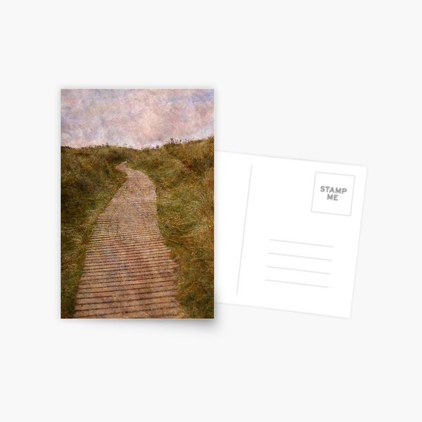 Findhorn Dunes Postcard