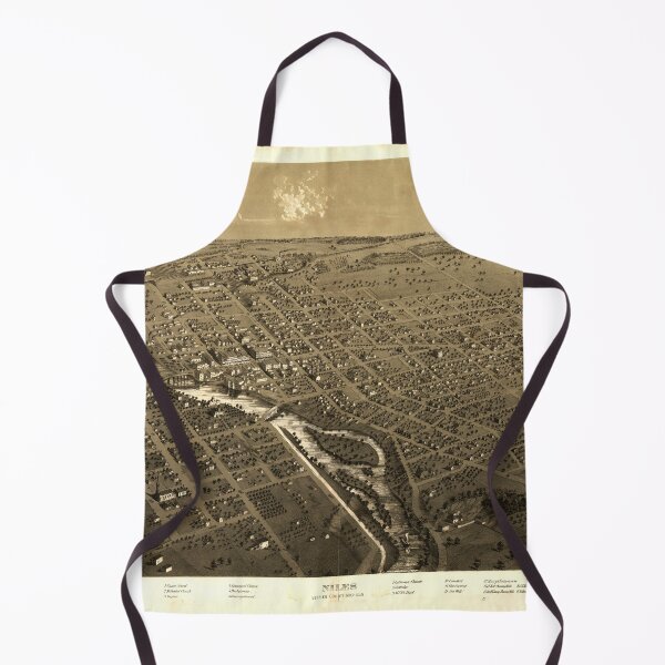 Item preview, Niles, Michigan (1868) designed and sold by allhistory.