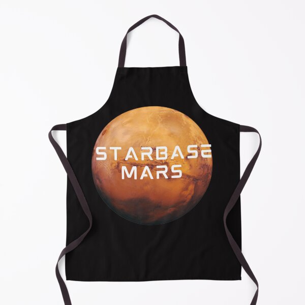 Item preview, SpaceX Starship designed and sold by TEEJAMBOREE.