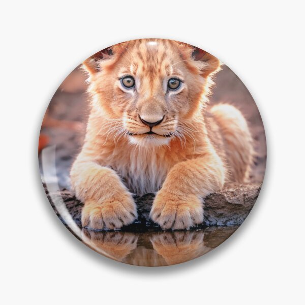 Item preview, Lion Cub. designed and sold by ScenicViewPics.