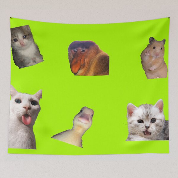 Item preview, Stickers Pack, MEME animal Pack, funny designed and sold by PawsAndCoffeeCo.