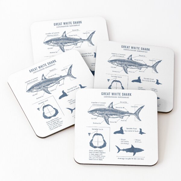 Item preview, Great White Shark Anatomy | Marine Biologist | Shark Lovers designed and sold by Christina-grich.