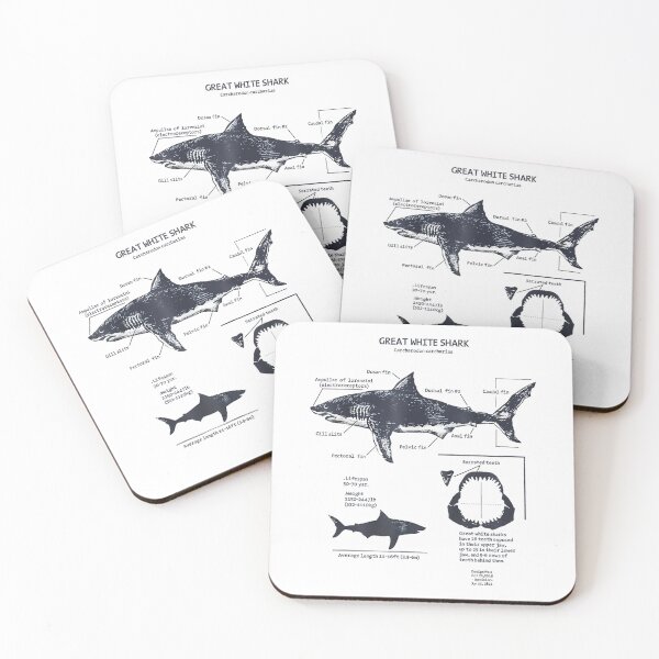 Item preview, Great White Shark Anatomy | Marine Biologist | Shark Lovers designed and sold by Christina-grich.