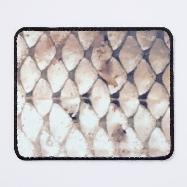Item preview, Fall Fish Chub Scales Natural designed and sold by CJRPics.