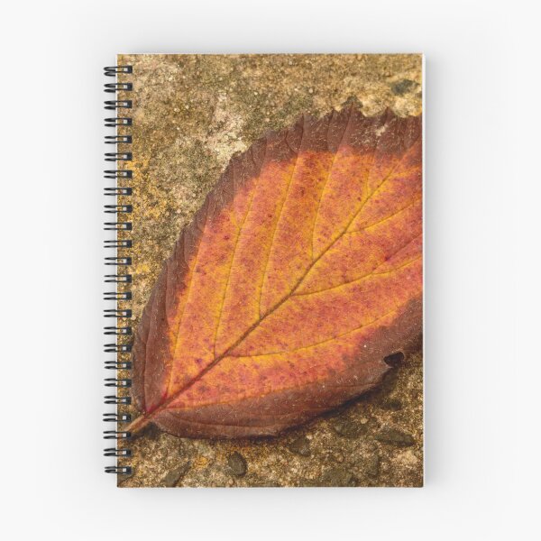 Item preview, digital photograph of a bronze autumn  leaf designed and sold by SimonJohnson1.
