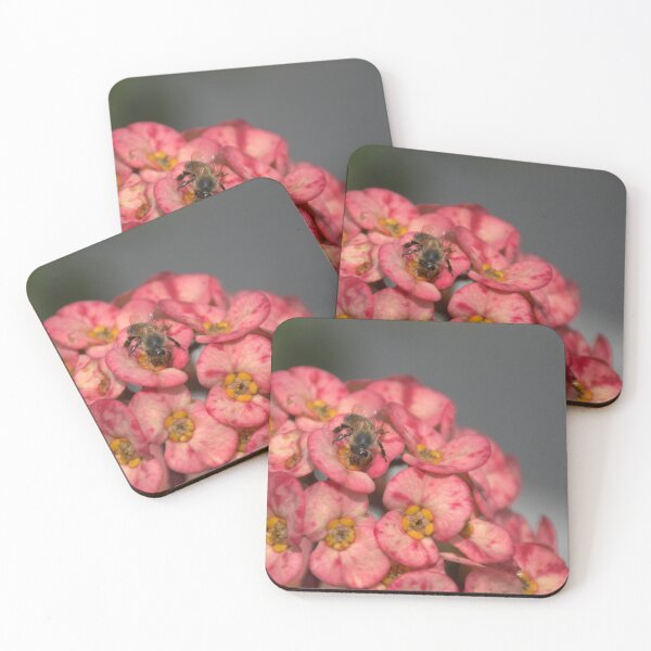 Item preview, Euphorbia Milii and Honeybee designed and sold by MercerImages.