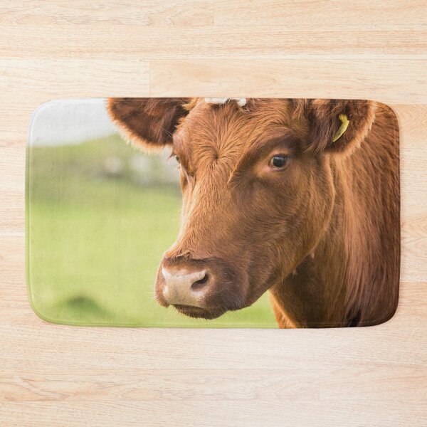 Item preview, Cow Portrait designed and sold by Jane Stanley Photography.