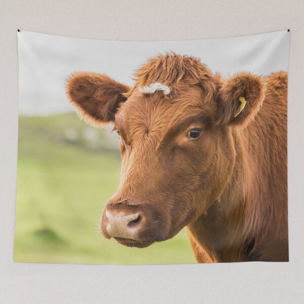 Item preview, Cow Portrait designed and sold by Jane Stanley Photography.