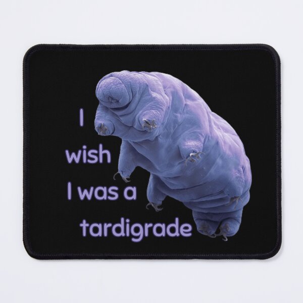 Item preview, I wish I was a tardigrade designed and sold by Melon Designs All.