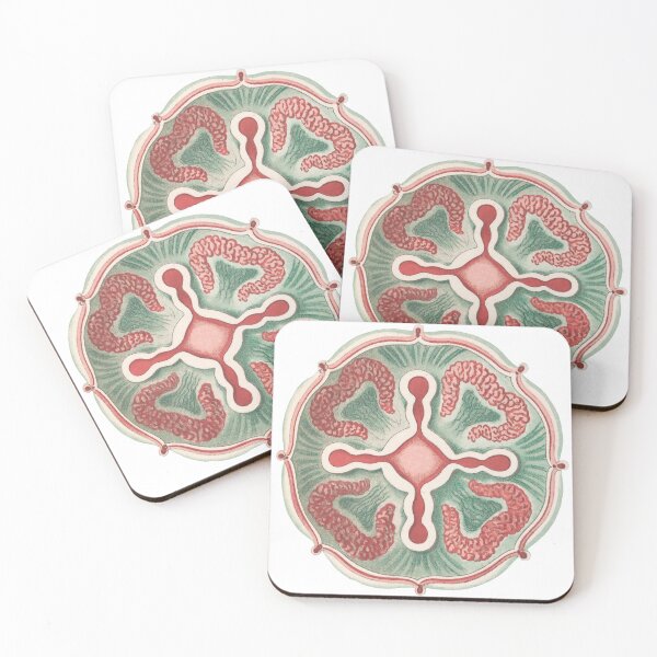 Item preview, Ernst Haeckel Jellyfish, original color designed and sold by DreamingBeetle.