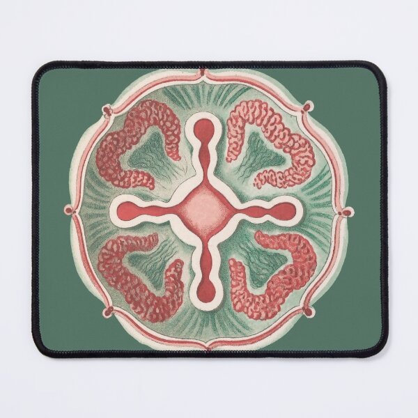 Item preview, Ernst Haeckel Jellyfish, original color designed and sold by DreamingBeetle.