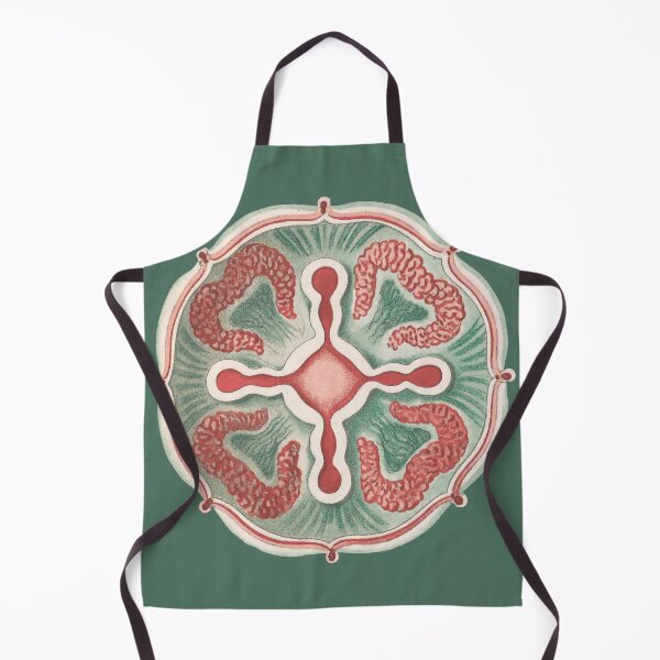 Item preview, Ernst Haeckel Jellyfish, original color designed and sold by DreamingBeetle.