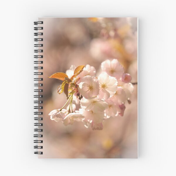 Item preview, digital photograph of sunlit spring Cherry blossom designed and sold by SimonJohnson1.