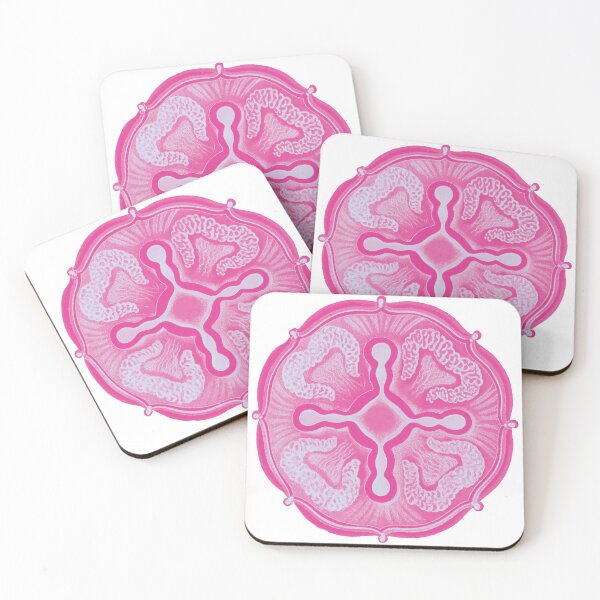 Item preview, Ernst Haeckel Jellyfish, in cotton candy designed and sold by DreamingBeetle.