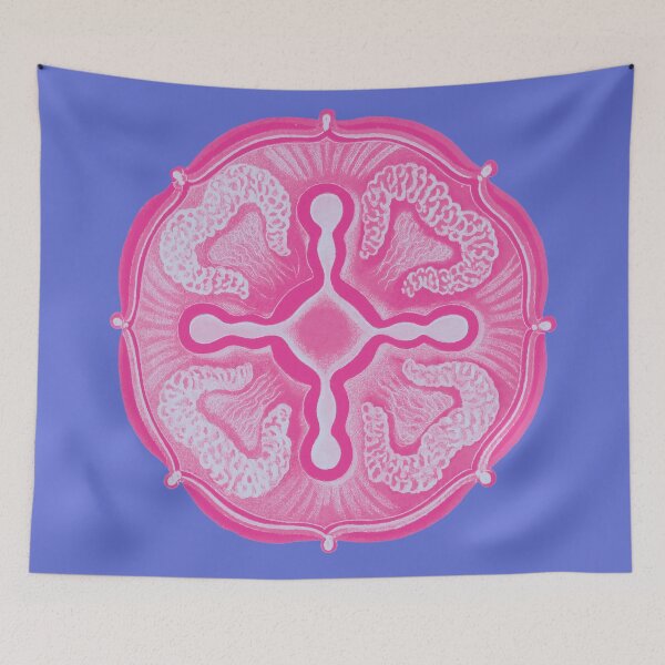 Item preview, Ernst Haeckel Jellyfish, in cotton candy designed and sold by DreamingBeetle.