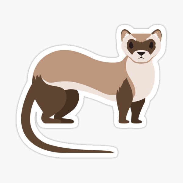 Ferret Furry fandom Cartoon Character, ferret, animals, manga, furry Fandom  png | PNGWing