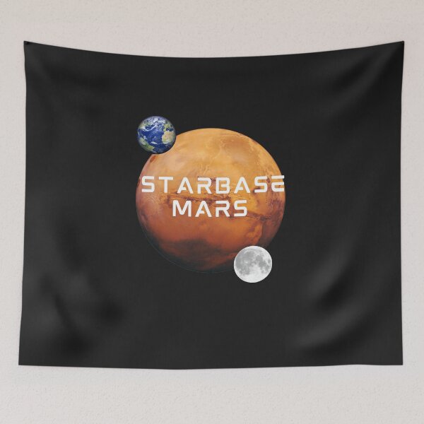 Item preview, SpaceX Starship designed and sold by TEEJAMBOREE.