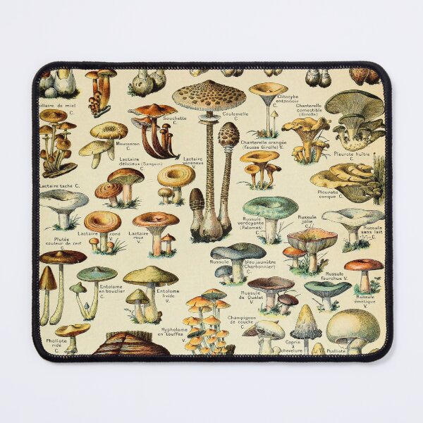 Item preview, Champignons - Vintage Mushroom Cottagecore Botanical Toadstools  designed and sold by Arwen-Art.