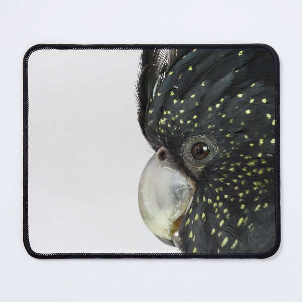 Item preview, Red tailed black cockatoo designed and sold by KakapoKrafts.